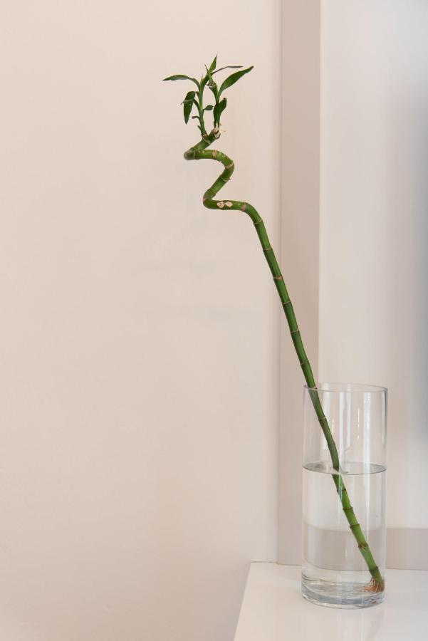 Medluxe Luxury Apartment ! Athens Exterior photo
